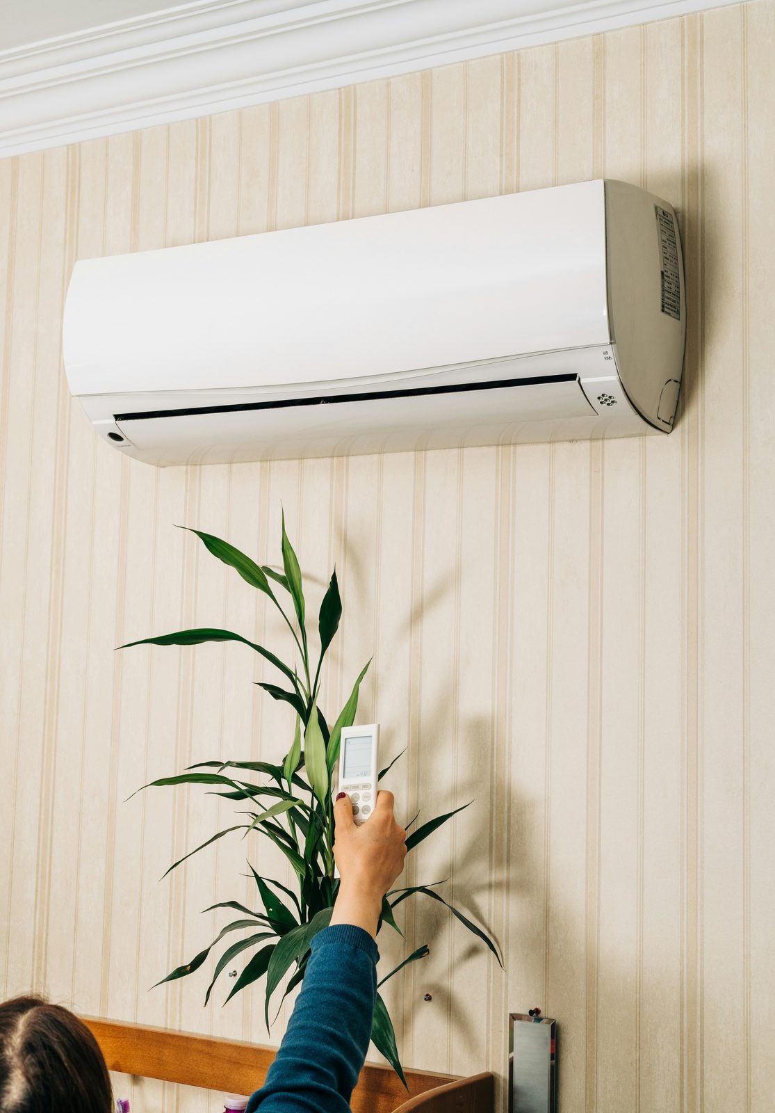 High-efficiency heat pump installed outside a home in Nanaimo, BC
