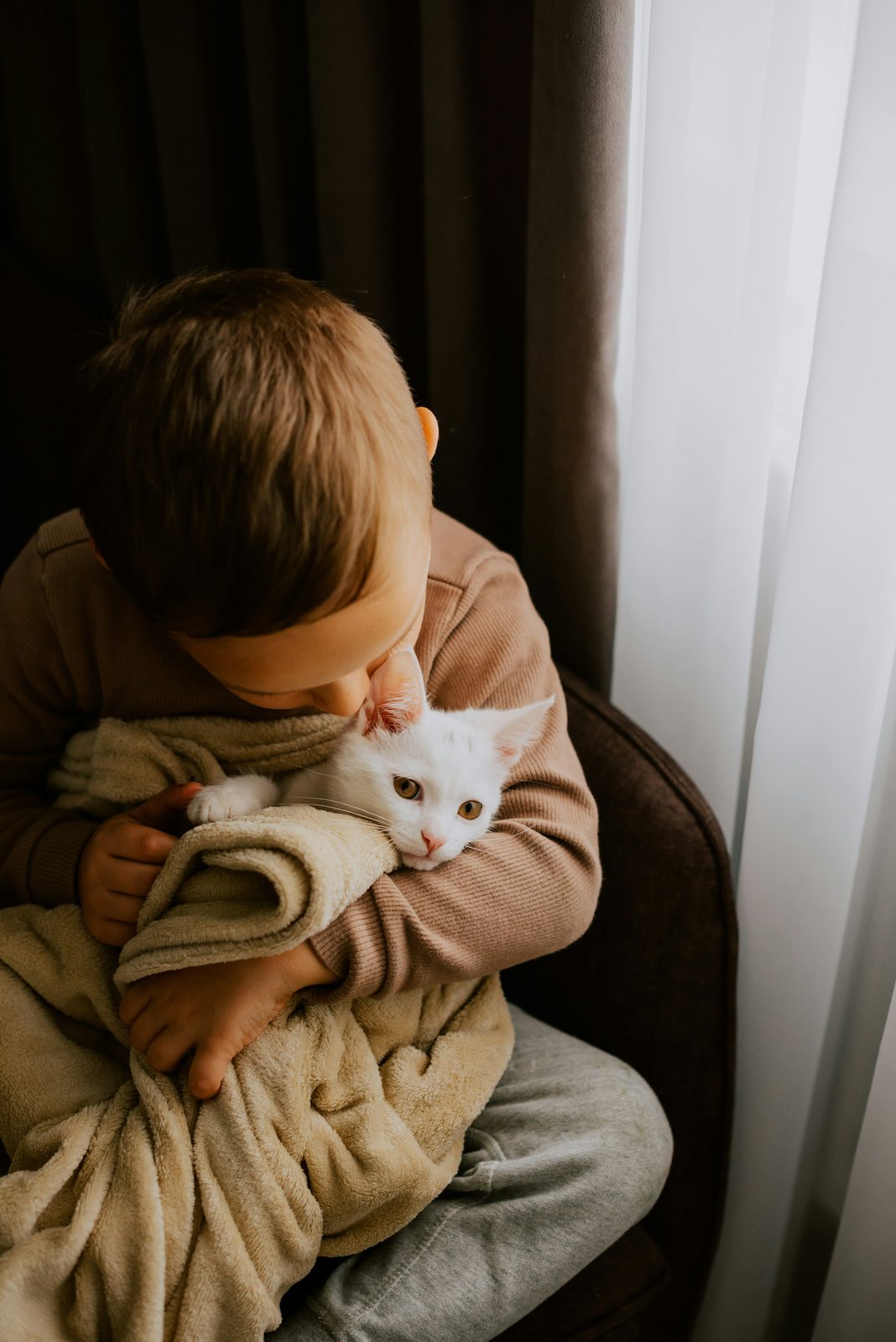 Child staying cozy and warm indoors with a cat wrapped in a soft blanket